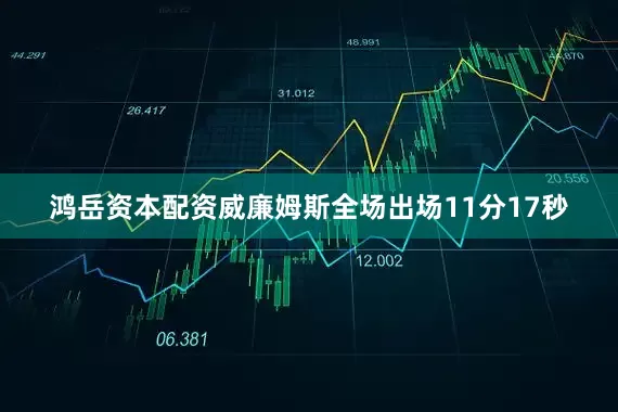 鸿岳资本配资威廉姆斯全场出场11分17秒
