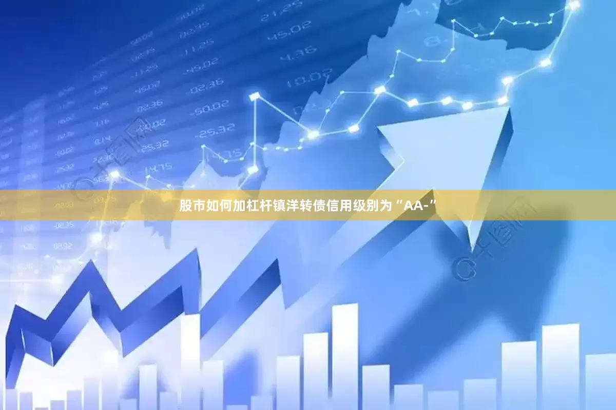 股市如何加杠杆镇洋转债信用级别为“AA-”