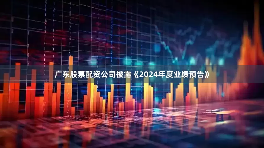 广东股票配资公司披露《2024年度业绩预告》