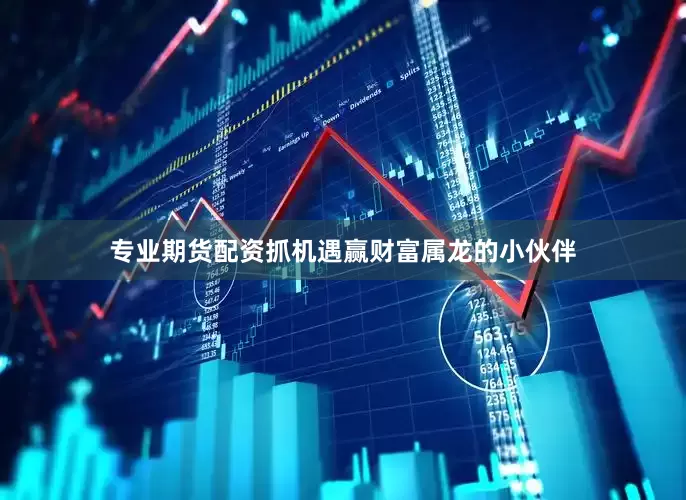专业期货配资抓机遇赢财富属龙的小伙伴