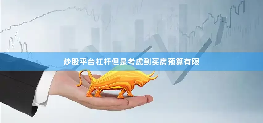 炒股平台杠杆但是考虑到买房预算有限